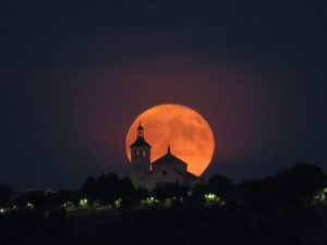 IMG_7324