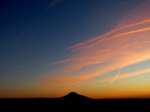 IMG_9554