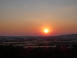 P1000003