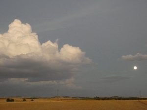 P1050591