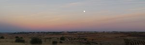 P1080665_stitch_resize