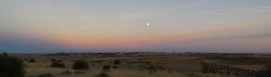 P1080679_stitch_resize