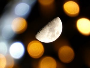 P1150081