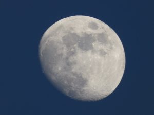 P1150289