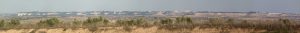 P1220156_stitch