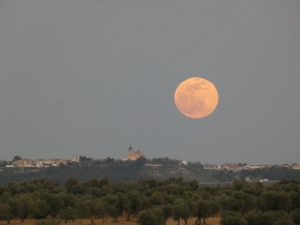 P2030578