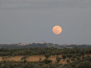 P2030579