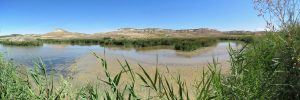 lagunas-pano_resize-60cm_resize