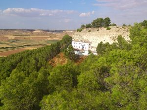 normal_DSC_3199