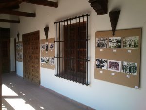 normal_exposicion